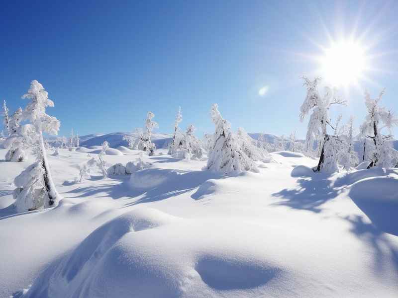 雪后的故事作文400字，雪后的故事作文400字左右