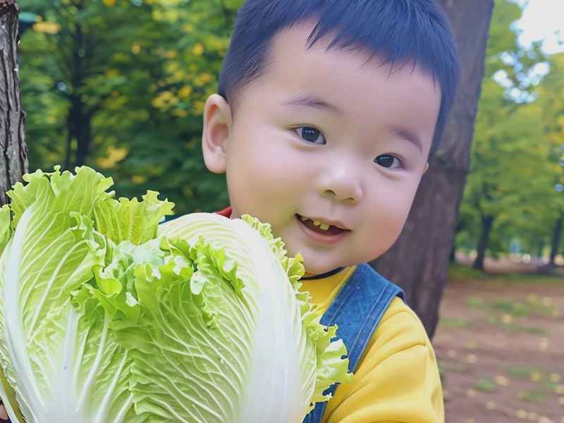 幼儿学种菜，幼儿种蔬菜的步骤图
