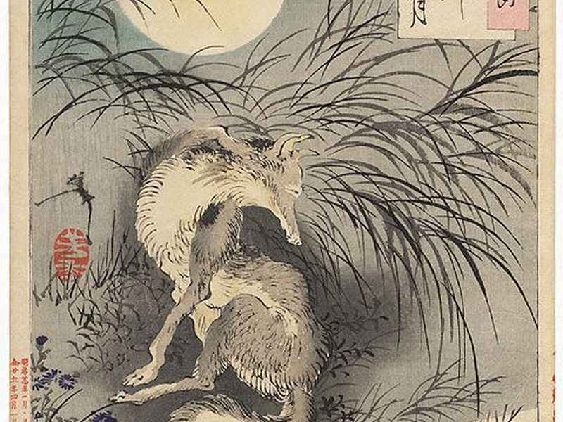 天狗吃月亮128，天狗吃月亮128博主在哪个平台