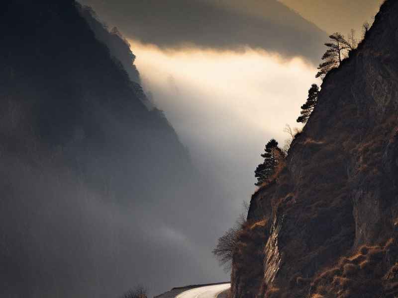 野猪过山路；野猪过山路怎么找