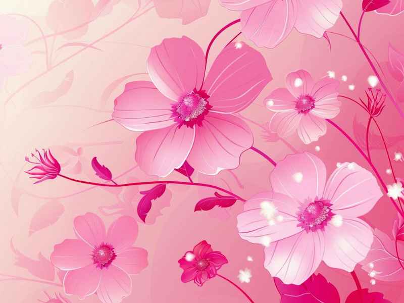花的故事大全视频、花的故事大全视频讲解 花的故事大全视频、花的故事大全视频讲解