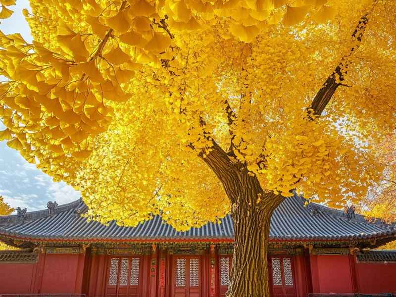 关于狼的100个小故事;关于狼的100个小故事简短 关于狼的100个小故事;关于狼的100个小故事简短