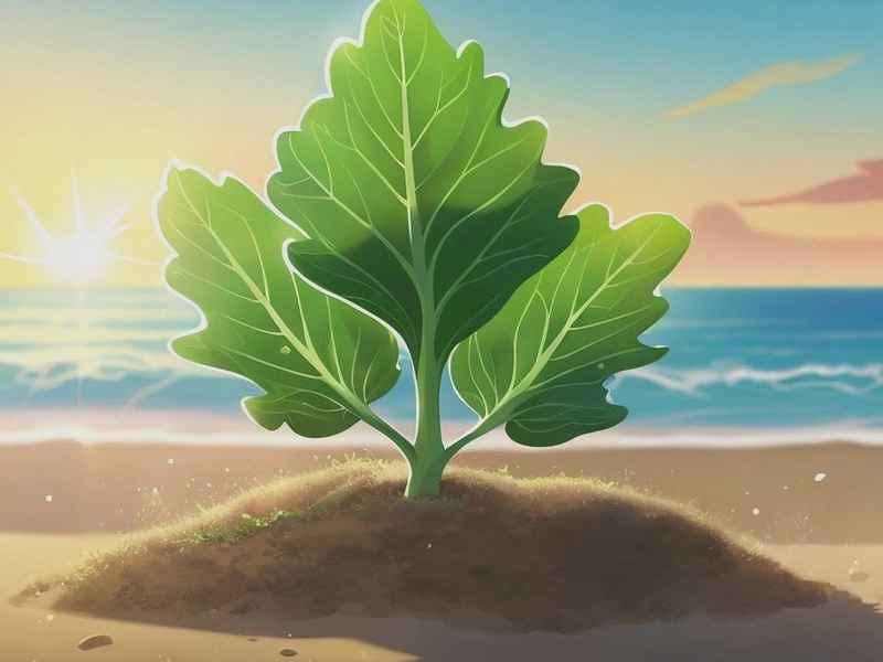 海豚的故事下载;海豚的故事下载mp3 海豚的故事下载;海豚的故事下载mp3