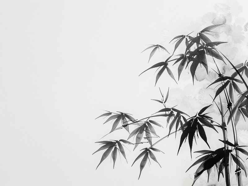好玩的水墨ppt、好玩的水墨ppt课件