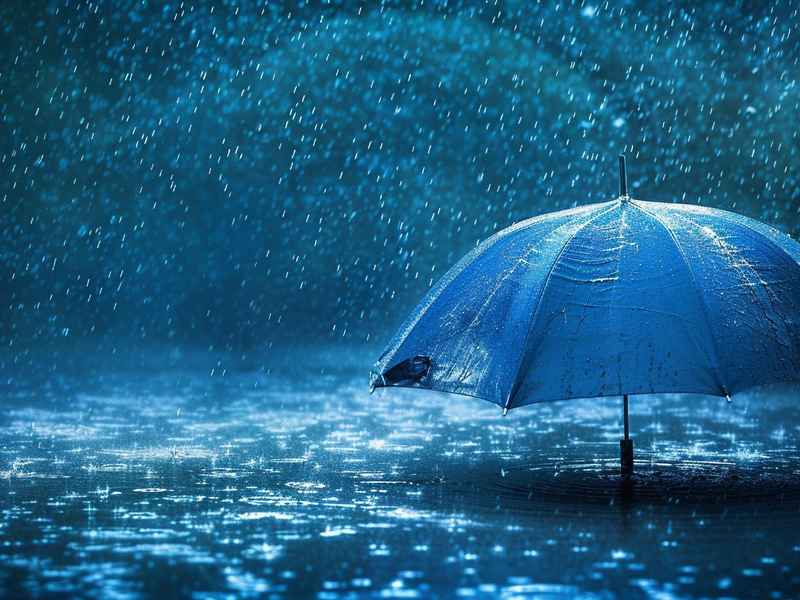 悲剧故事（悲剧故事中的雨）