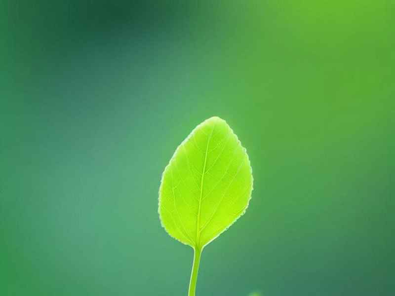 神偷奶爸前转在线观看,神偷奶爸前传在线观看网站 神偷奶爸前转在线观看,神偷奶爸前传在线观看网站