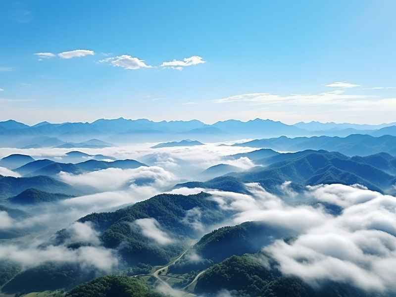 绿水千山就是金山银山、绿水千山就是金山银山征文