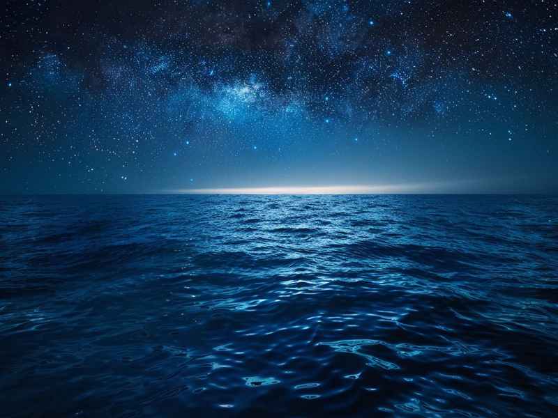 星辰大海故事梗概（星辰大海故事梗概简短）