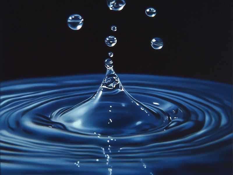 泗水千为教育；泗水仟学教育培训学校
