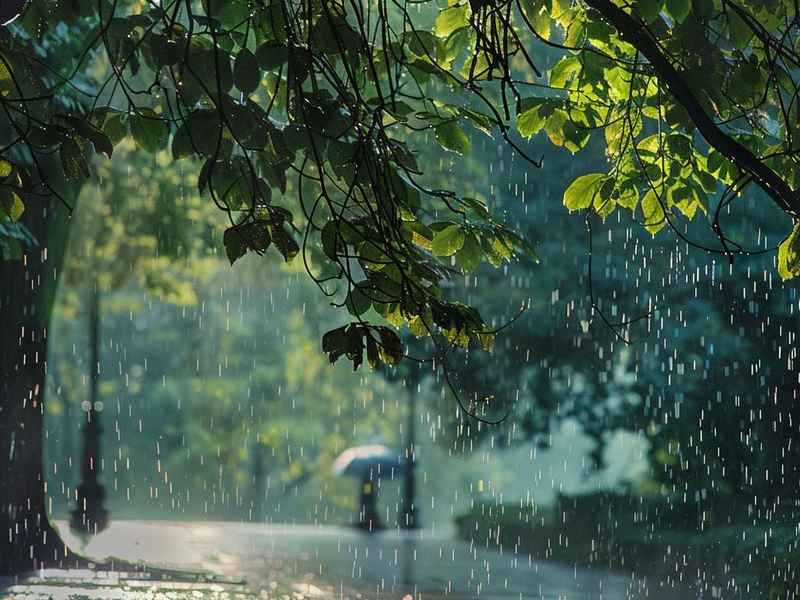 夏雨的故事,夏雨的故事漫画 夏雨的故事,夏雨的故事漫画