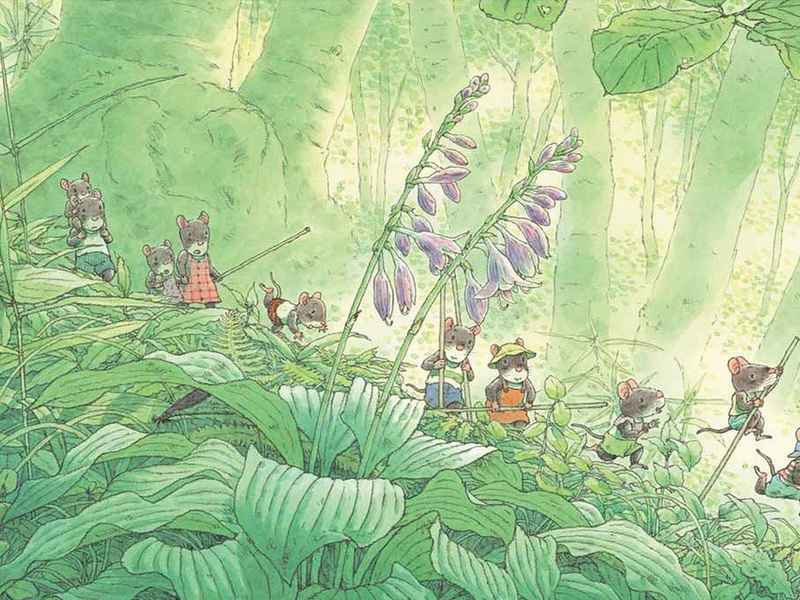关于植物绘本故事视频完整版、关于植物绘本故事视频完整版图片