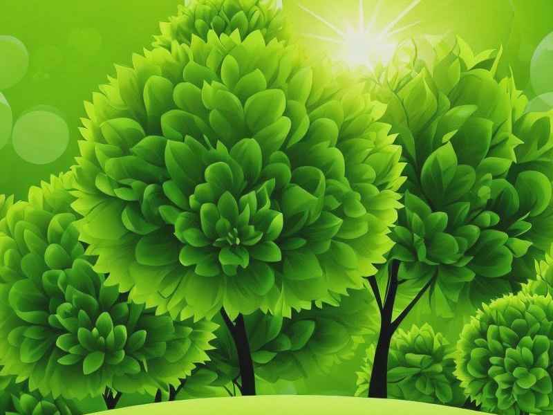 格林童话好词好句好段摘抄；格林童话好词好句好段摘抄大全