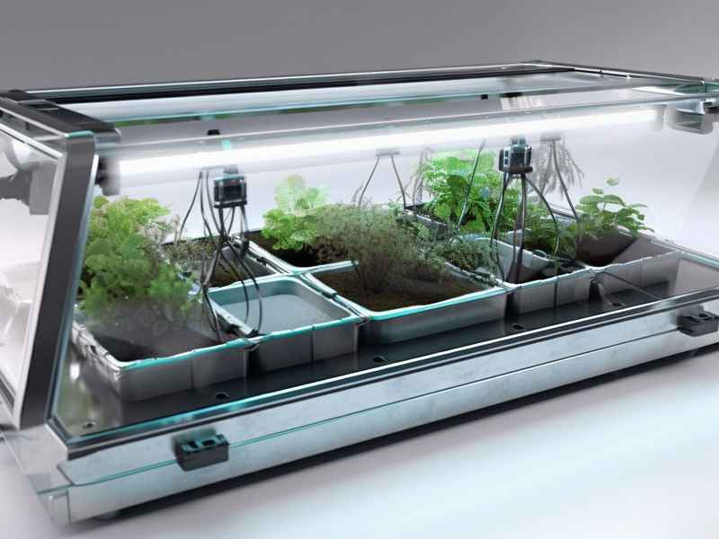 动植物通用型活体成相系统、动植物通用型活体成相系统生产厂家