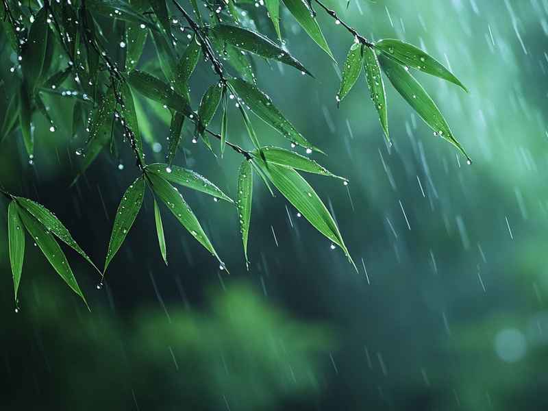 和雨有关的名字 和雨有关的名字女孩