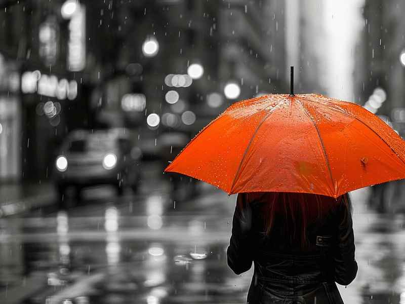 搜索关于雨的故事,搜索关于雨的故事有哪些 搜索关于雨的故事,搜索关于雨的故事有哪些