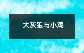 大灰狼与小鸡 - 大灰狼的故事
